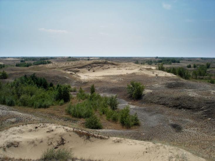 Пролетарка з panoramio.com - Пролетарка