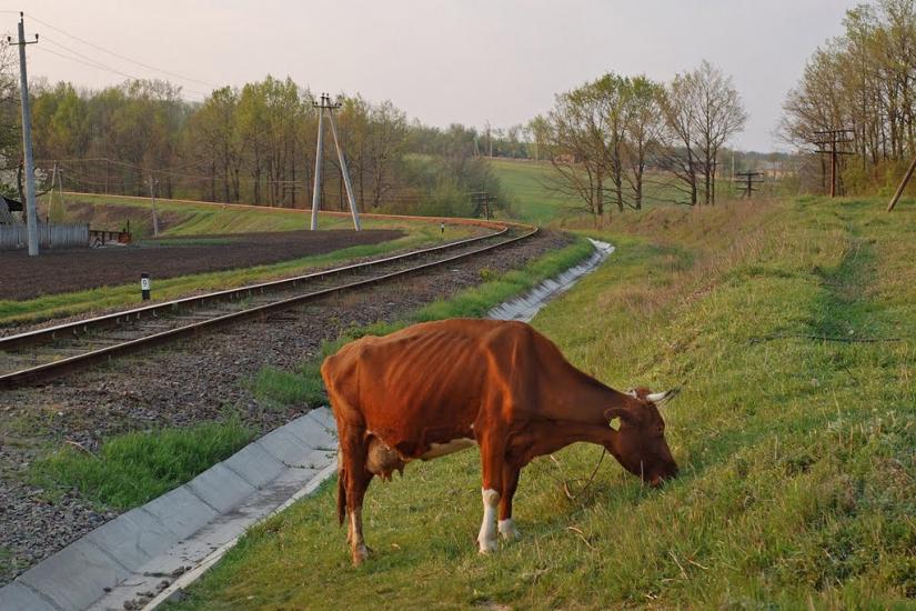 Джулинка з panoramio.com - Dzhulynka