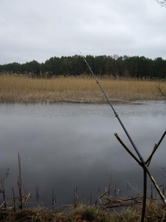 Дмитрівка з panoramio.com - Дмитровка
