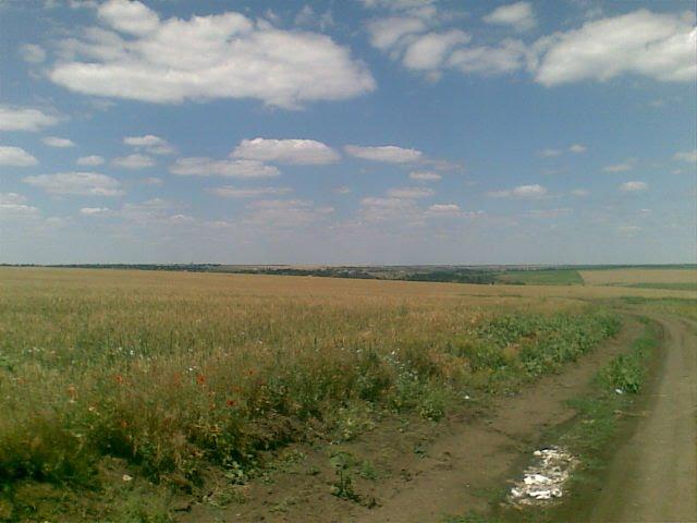 Любопіль з panoramio.com - Любополь