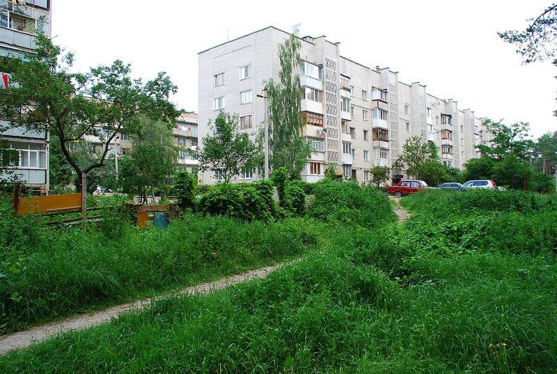 Довжик з panoramio.com - Довжик