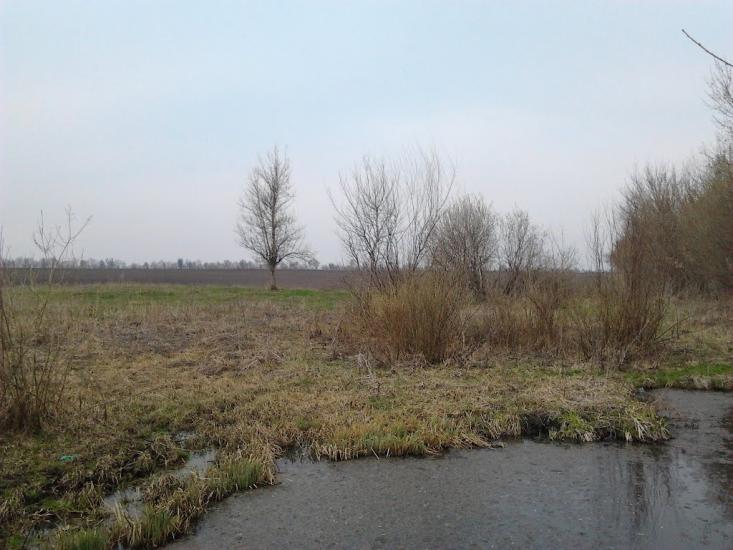 Рогачі з panoramio.com - Рогачи