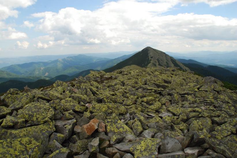 Черник з panoramio.com - Черник