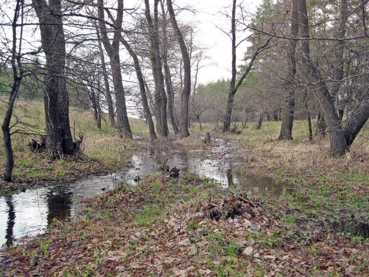 Валуйське з panoramio.com - Валуйское