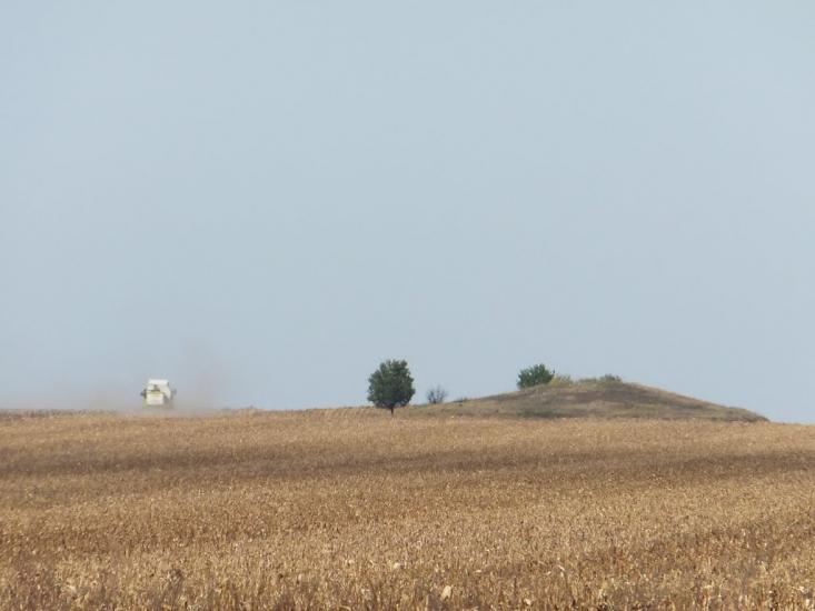 Доманівка з panoramio.com - Доманевка