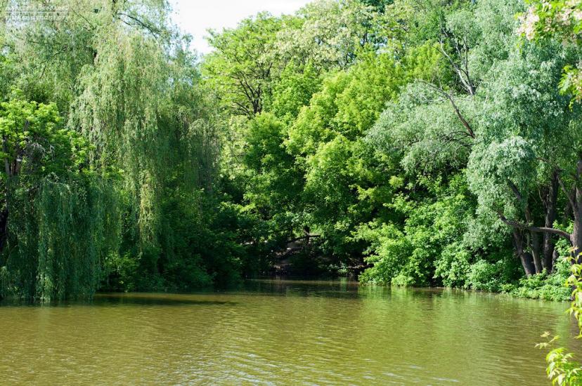 Сурсько-Литовське з panoramio.com - Сурско-Литовское
