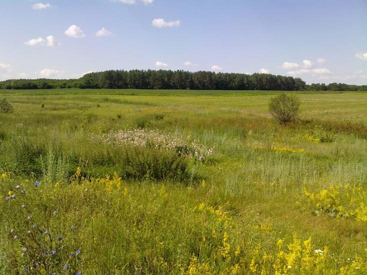 Халявин з panoramio.com - Халявин