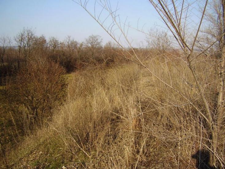 Фрунзе з panoramio.com - Фрунзе