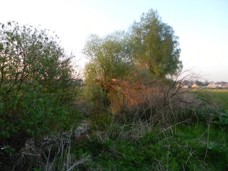 Білозір'я з panoramio.com - Белозерье