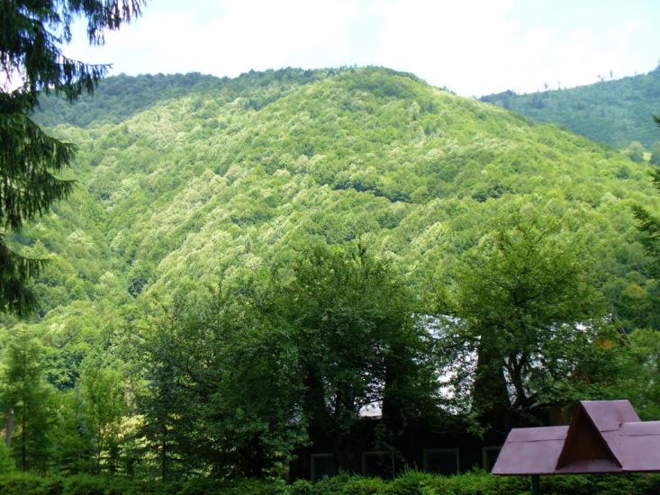 Усть-Чорна з panoramio.com - Усть-Чорна
