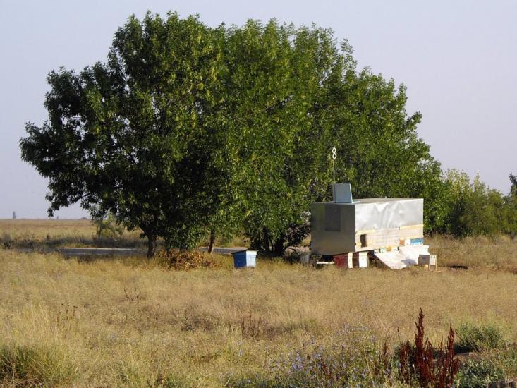 Вітине з panoramio.com - Витино