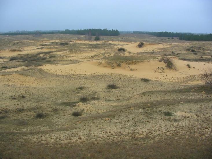 Пролетарка з panoramio.com - Пролетарка