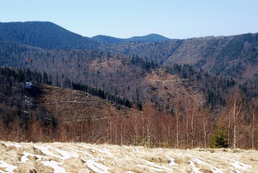 Букове з panoramio.com - Букове
