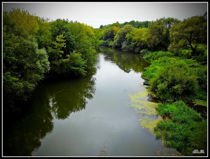 Олександрія з panoramio.com - Александрия