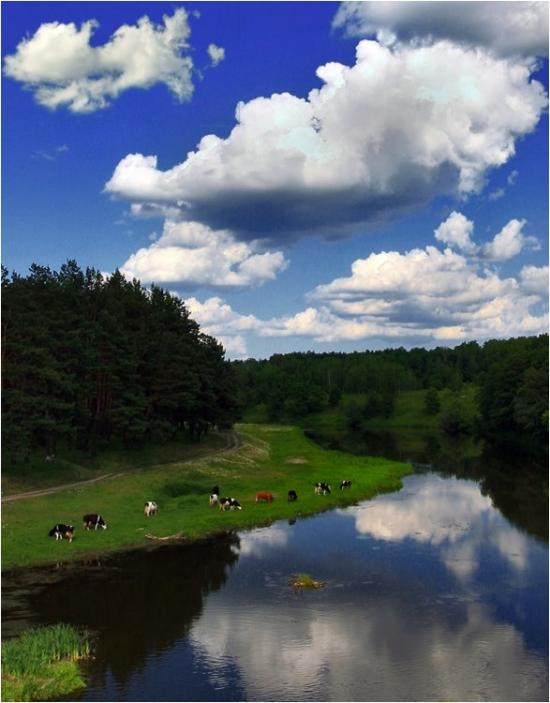 Скоморохи з panoramio.com - Скоморохи