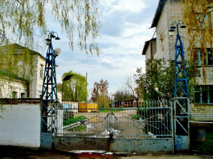Тараща з panoramio.com - Тараща