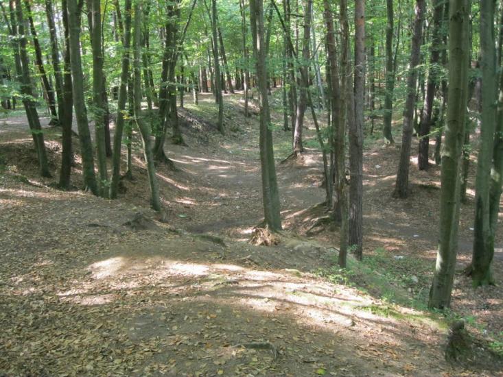 Брюховичі з panoramio.com - Bryukhovychi