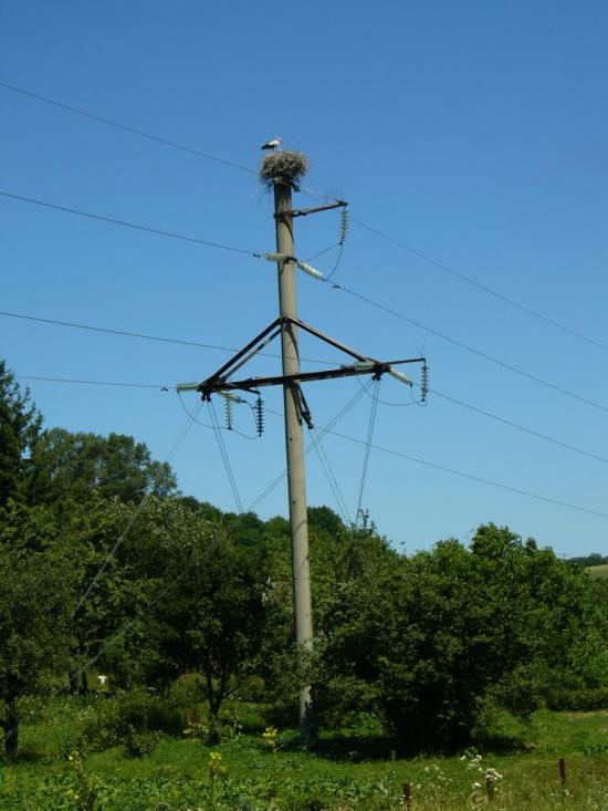 Петрівка з panoramio.com - Петрівка