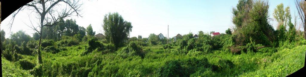 Коржі з panoramio.com - Коржі