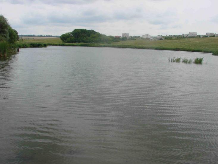 Черкаська Лозова з panoramio.com - Черкасская Лозовая