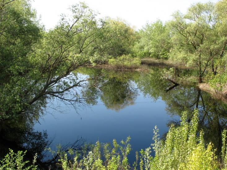 Говтва з panoramio.com - Govtva