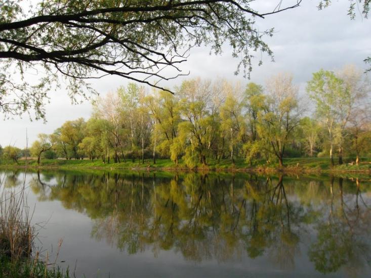 Райгородок з panoramio.com - Raygorodok