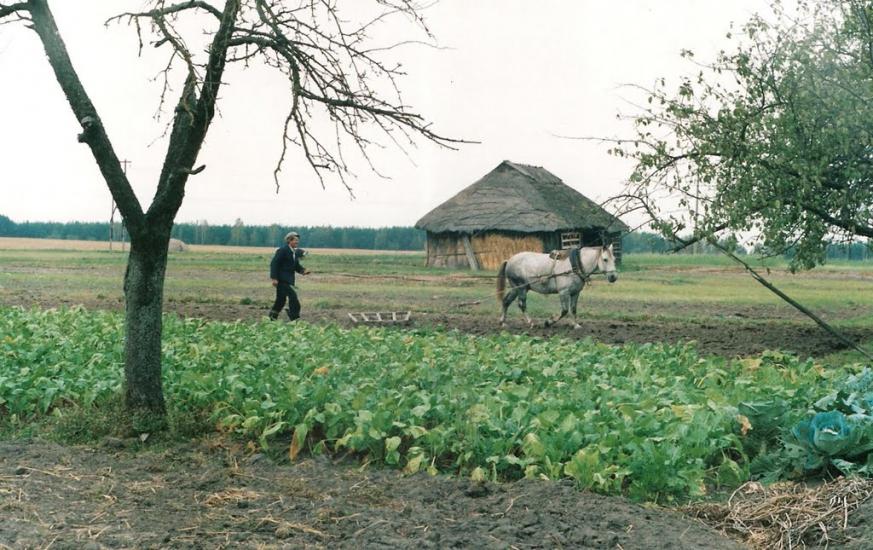 Шведчина з panoramio.com - Шведчина