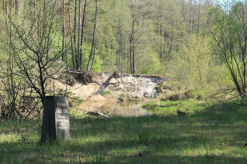 Мелені з panoramio.com - Meleni
