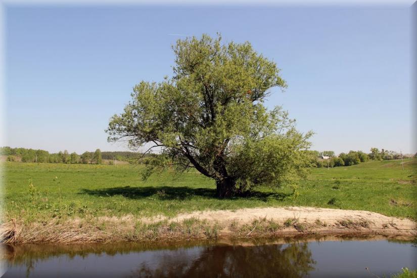 Озерне з panoramio.com - Озерне