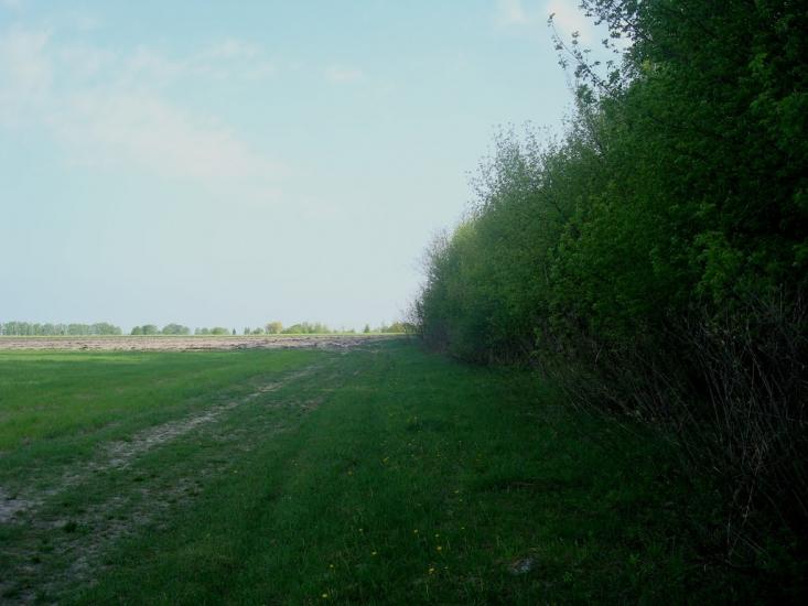 Вербівці з panoramio.com - Вербовцы