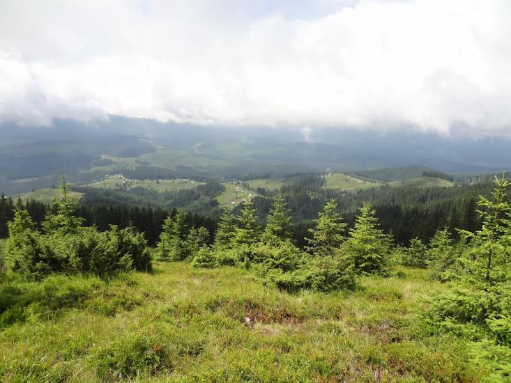 Кривопілля з panoramio.com - Kryvopillya