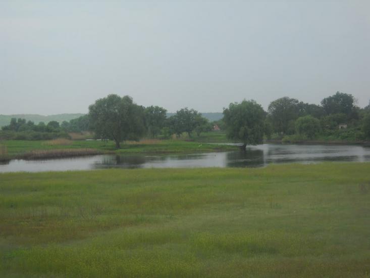 Сенча з panoramio.com - Сенча