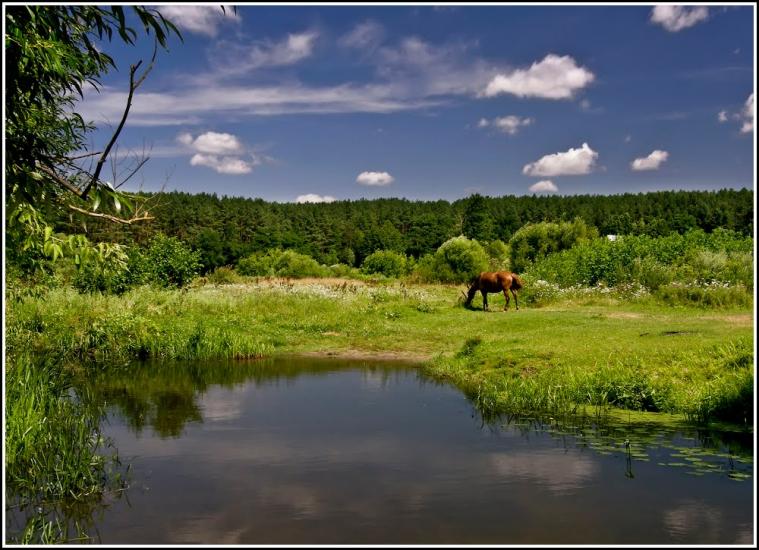 Житомир з panoramio.com - Житомир