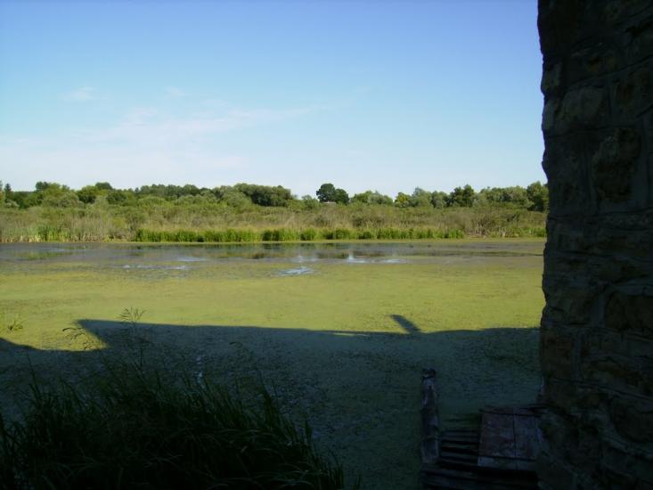 Мала Лука з panoramio.com - Малая Лука