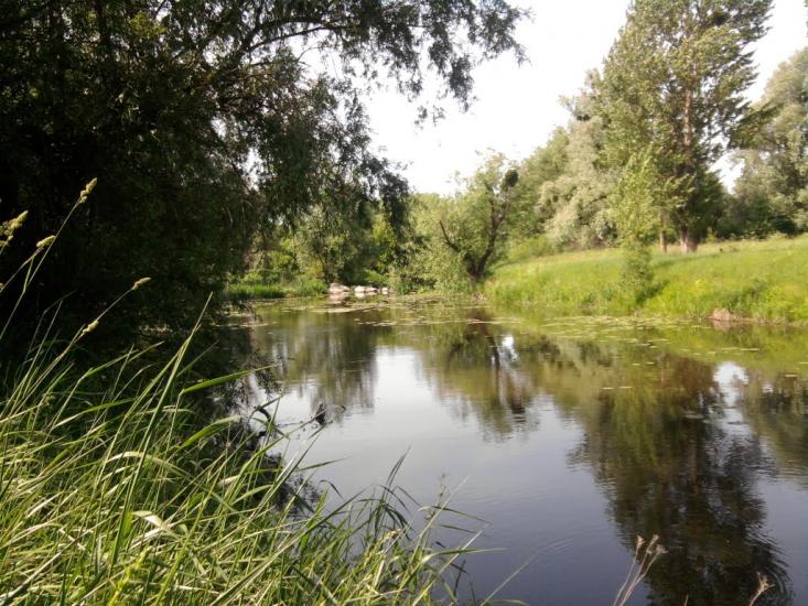 Веселий Кут з panoramio.com - Веселий Кут