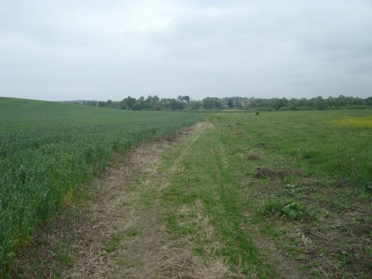 Малашівці з panoramio.com - Малашевцы