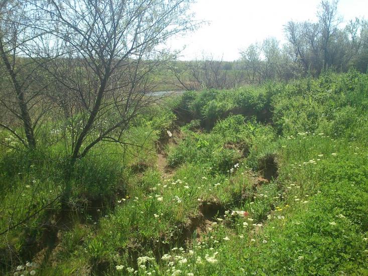 Орджонікідзе з panoramio.com - Орджоникидзе
