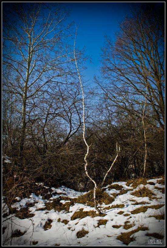 Городок з panoramio.com - Gorodok