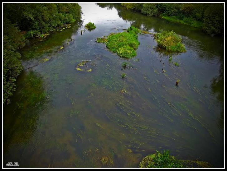 Олександрія з panoramio.com - Александрия