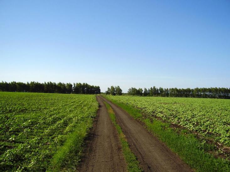 Новозванівка з panoramio.com - Новозвановка