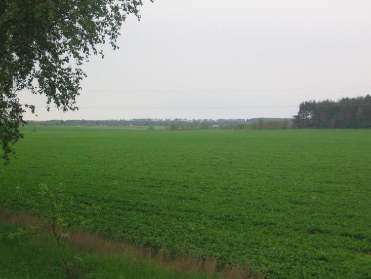 Рівнопілля з panoramio.com - Равнополье