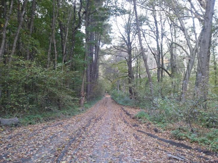 Малий Любінь з panoramio.com - Малий Любінь