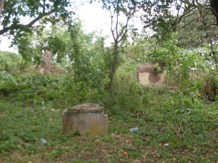 Кузьминці з panoramio.com - Кузьминцы