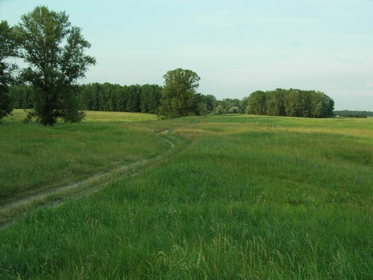Говтва з panoramio.com - Govtva