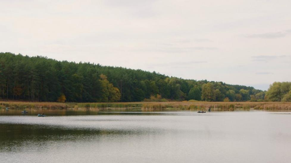 Віта-Поштова з panoramio.com - Вита-Почтовая