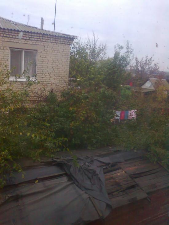 Новоганнівка з panoramio.com - Новоганновка