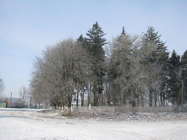 Шумівці з panoramio.com - Шумовцы