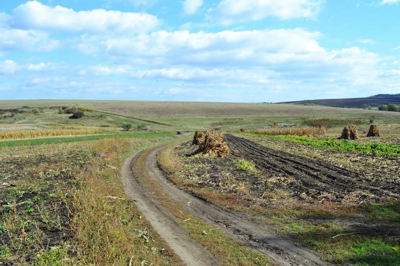 Подвір'ївка з panoramio.com - Подворьевка