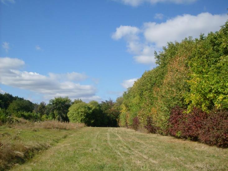 Карбівське з panoramio.com - Karbivske