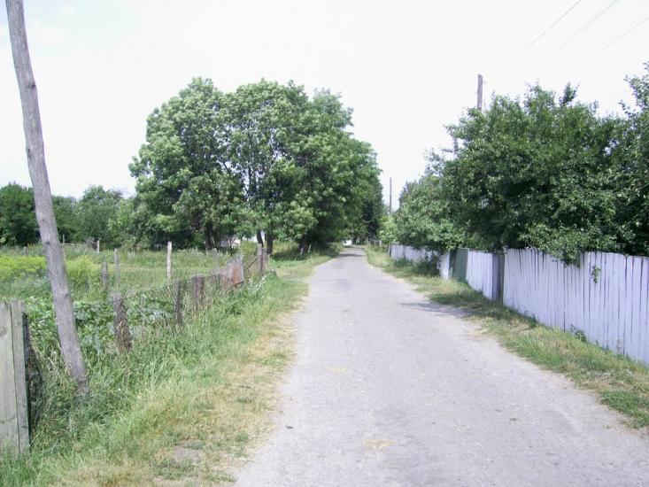 Пліщин з panoramio.com - Пліщин